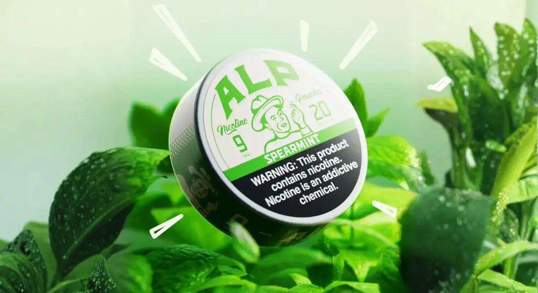 Spearmint-flavored nicotine pouch tin labeled ALP surrounded by fresh mint leaves promoting a refreshing tobacco-free option.