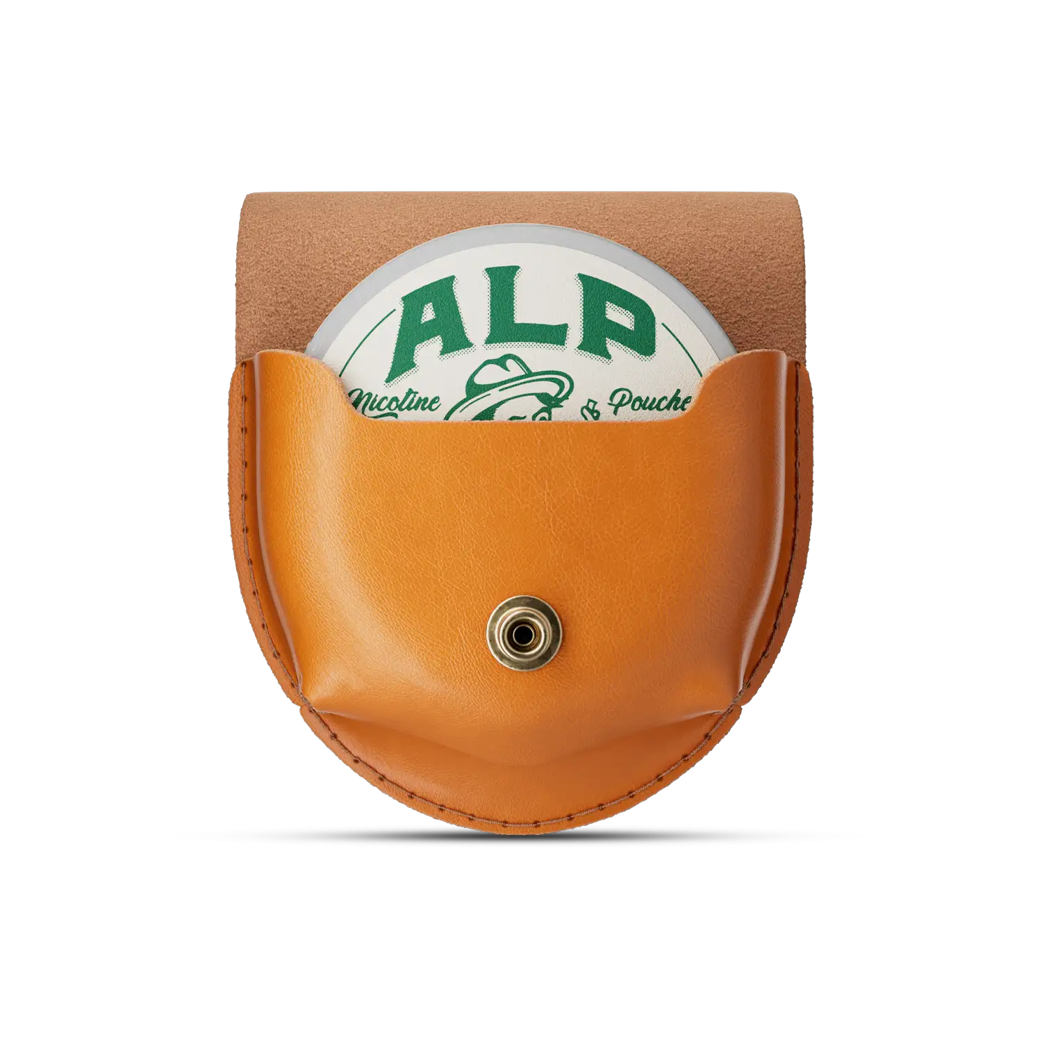 Leather Holster Canyon