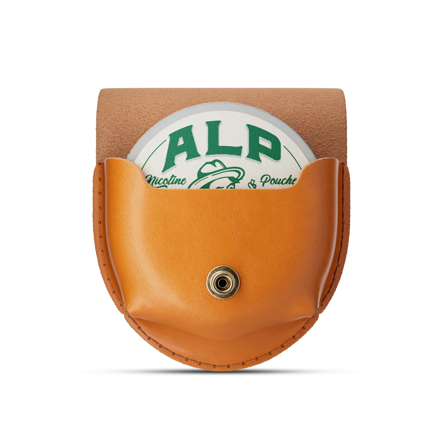 Leather Holster Canyon