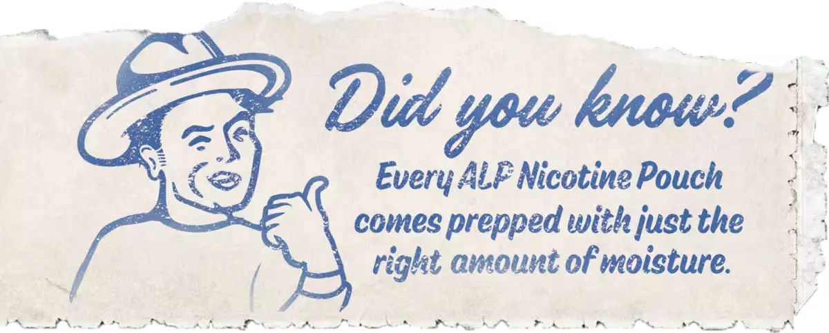 Informational graphic featuring a drawing of a man and the text "Did you know? Every ALP Nicotine Pouch comes prepped with just the right amount of moisture"